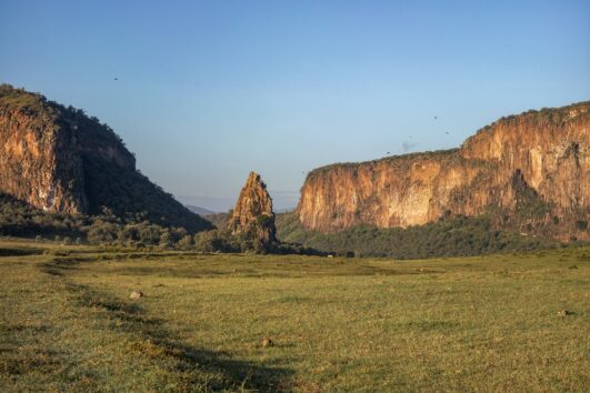 отвесная скала Фишер-Тауэр над зелёной долиной парка