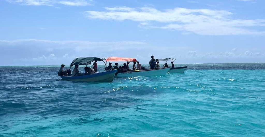Blue safari Zanzibar, туры в африку, туры в Танзанию, остров Занзибар, отдых на Занзибаре, туры на океан