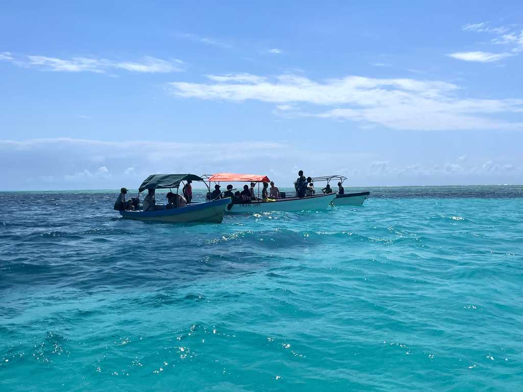 Blue safari Zanzibar, Занзибар, Африка, отдых