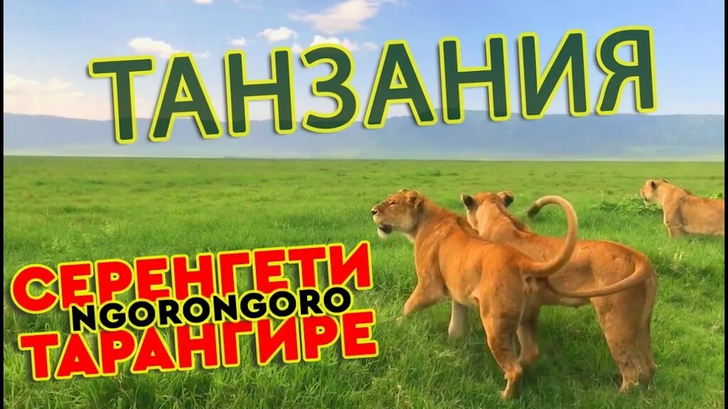 Ваши пожелания