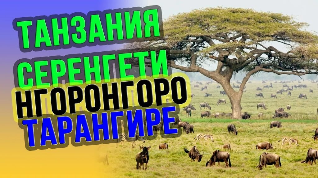 Подготовиминдивидуальнуюпрограмму