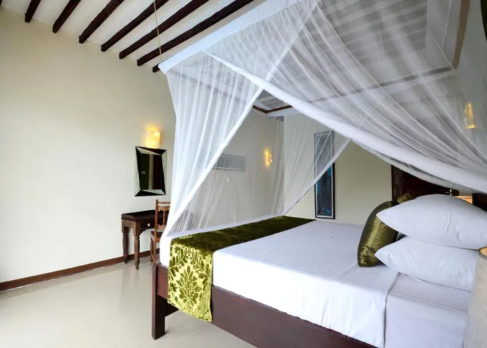Фото номера Amaan Beach Hotel