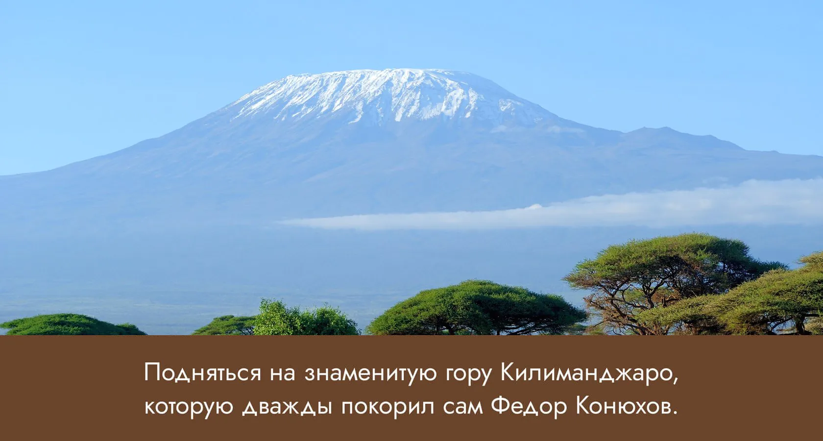 Снежная вершина Килиманджаро над саванной и акациями